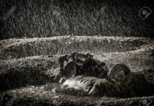 स्पीति के उदयपुर में मिट्टी की बारिश, जानें क्या है माजरा!