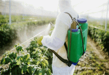 कृषि में अधिक कीटनाशकों के प्रयोग से बढ़ रही कैंसर जैसी जानलेवा बीमारी
